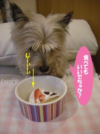 e0066883_22145965.gif