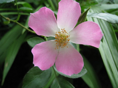 c0132387_0553382.jpg