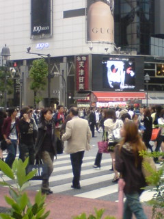 f0161488_0322427.jpg