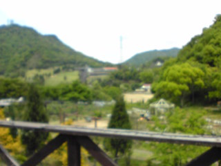 c0042491_22562481.jpg