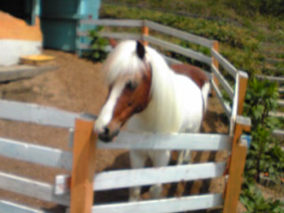 c0042491_22565747.jpg