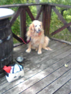 c0042491_22573880.jpg