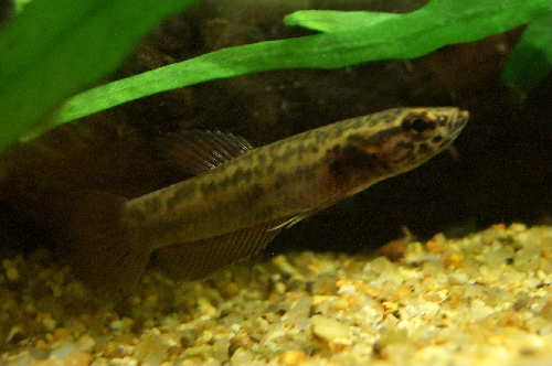 c0074591_1253869.jpg