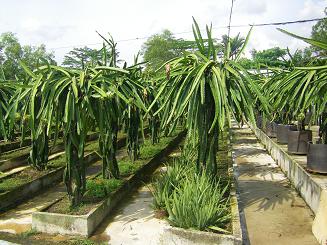 e0121993_1041963.jpg