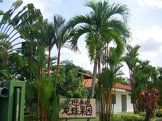 e0121993_7524014.jpg