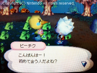 ピーチク&リベロ