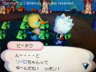 ピーチク&リベロ