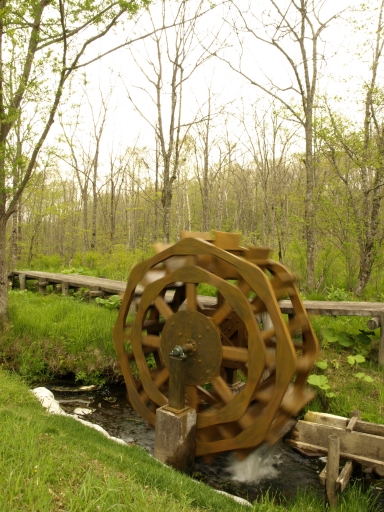 f0020302_23193082.jpg
