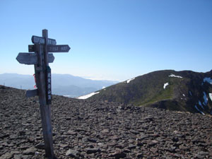 c0093205_22181141.jpg