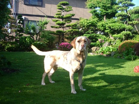 e0046305_1012489.jpg