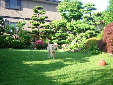 e0046305_10141011.jpg