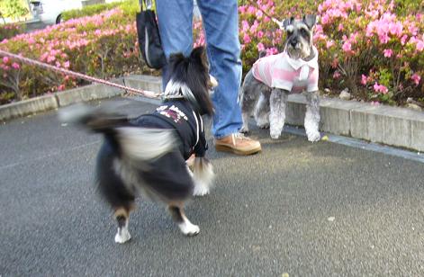 e0130008_22263079.jpg