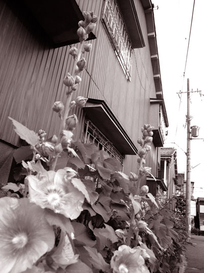 b0038810_17563682.jpg