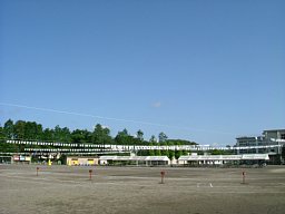 f0153115_2372679.jpg