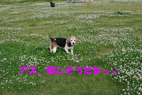 c0116921_2143481.jpg