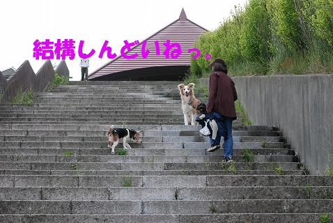c0116921_21534059.jpg