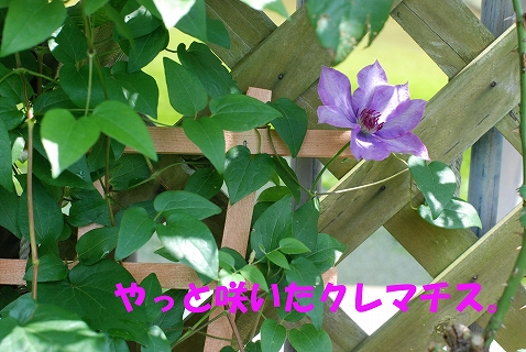 c0116921_21561410.jpg