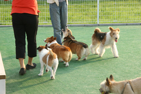 e0071225_20213682.jpg