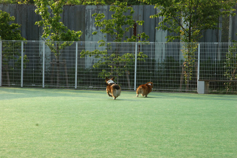 e0071225_20324216.jpg