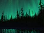 c0051529_19195081.jpg