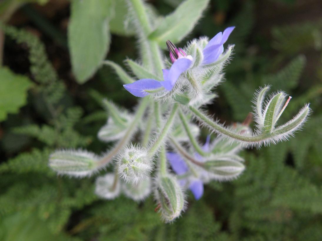 d0118729_125245.jpg