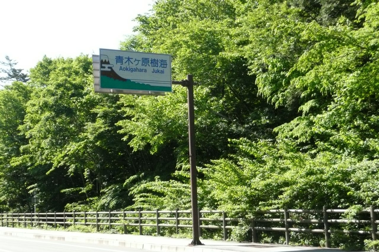 e0033229_21243723.jpg
