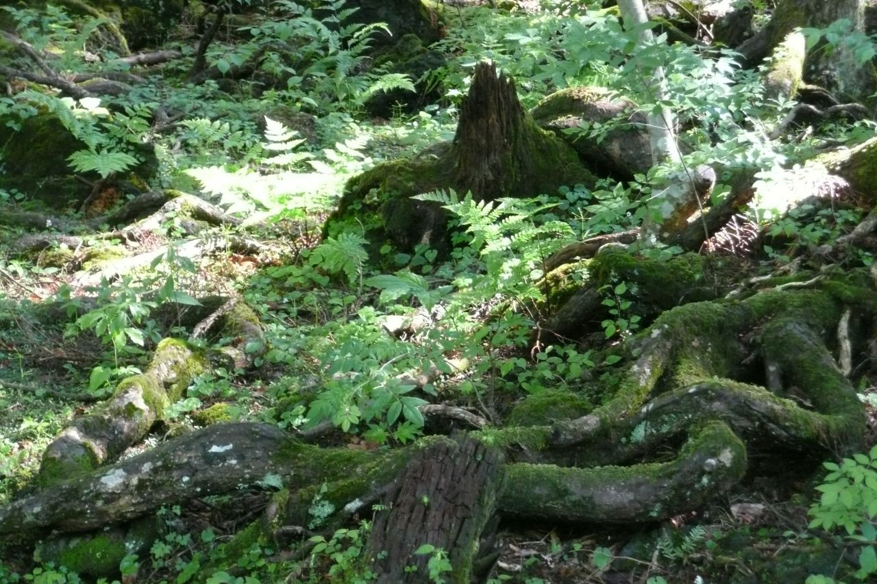 e0033229_21264487.jpg