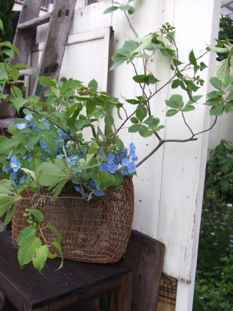 c0110930_0305539.jpg