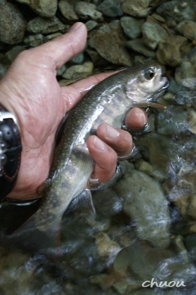 f0146531_23435628.jpg