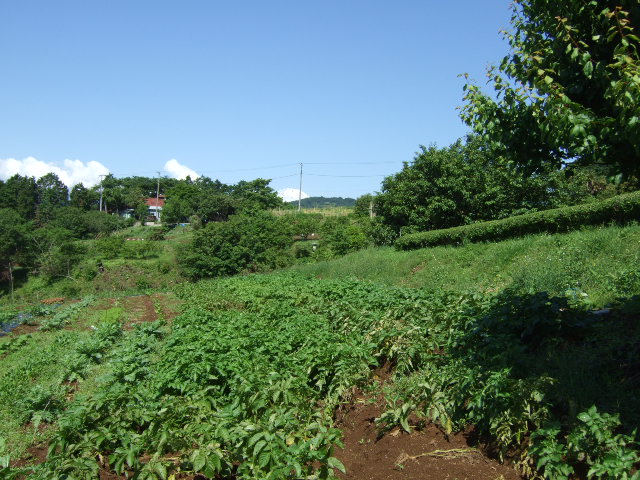 b0137932_14155521.jpg