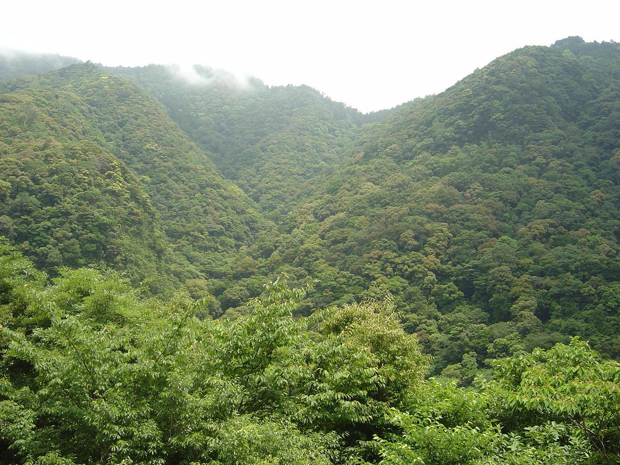 d0088735_17271230.jpg