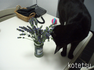 c0132438_22142072.jpg