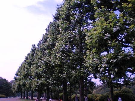 f0104038_23104381.jpg