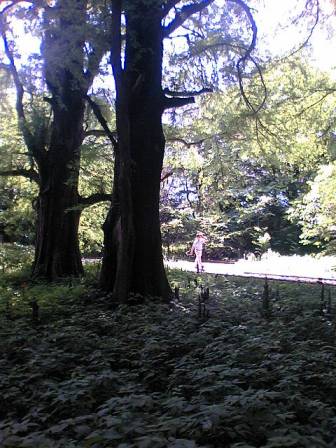 f0104038_23114160.jpg