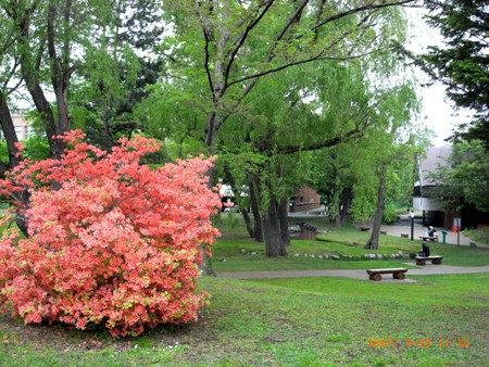 c0022340_1715996.jpg