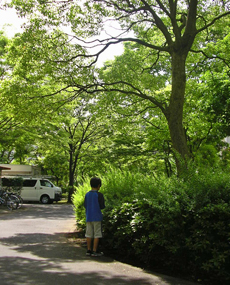 f0032340_18384652.jpg