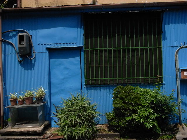 a0087341_11593025.jpg
