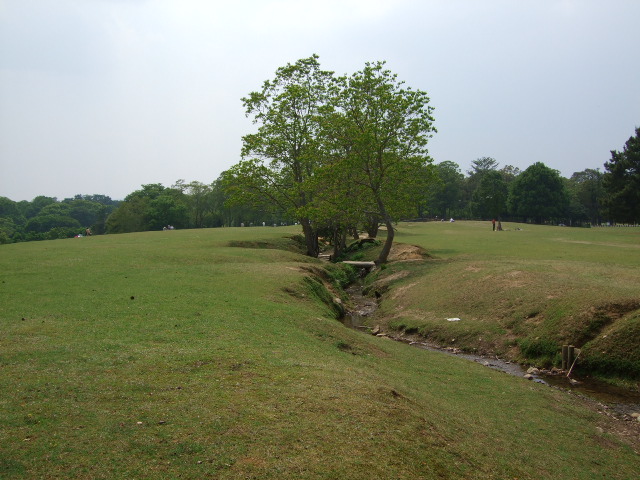 e0085543_2253156.jpg