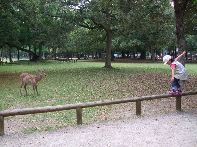 e0085543_22533994.jpg