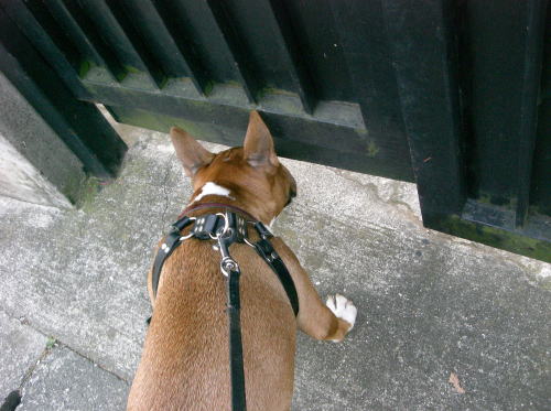 f0094843_02597.jpg