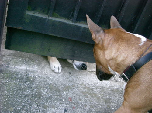 f0094843_032564.jpg
