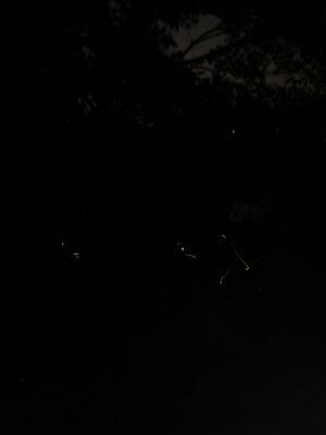 b0001044_031441.jpg