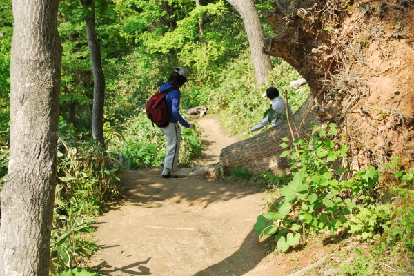 f0166545_1458315.jpg