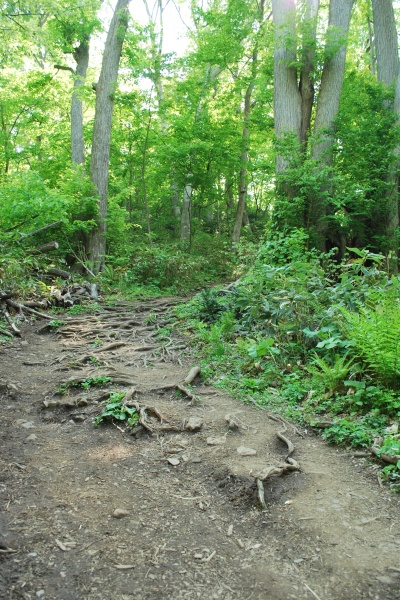 f0166545_1458550.jpg