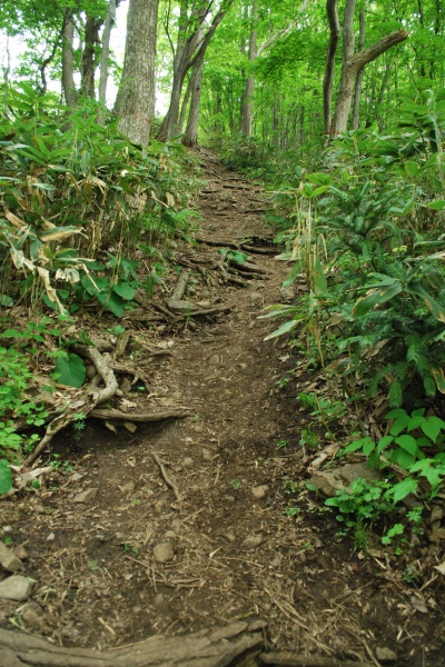 f0166545_154553.jpg