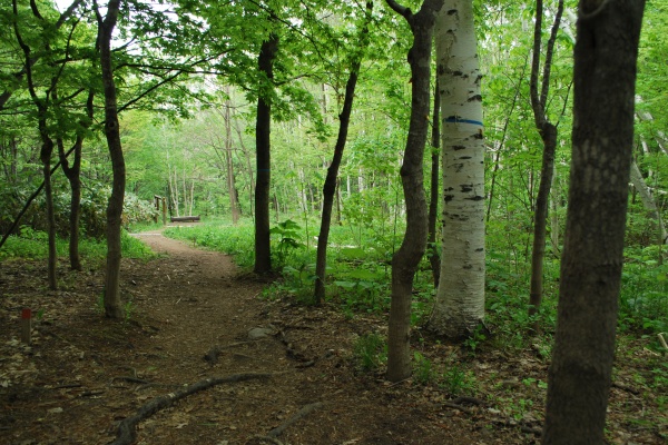 f0166545_1585433.jpg
