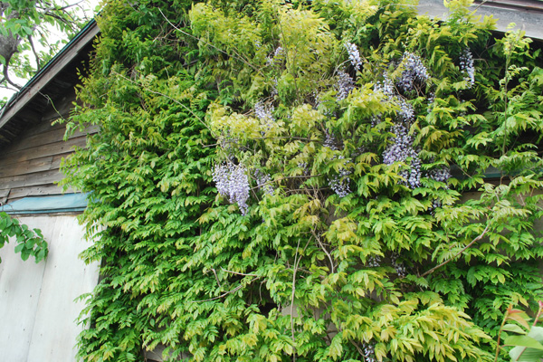 f0166545_22484120.jpg