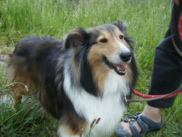 b0072650_2333382.jpg