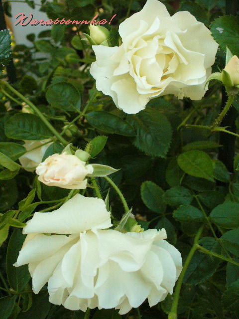 f0074659_224058.jpg