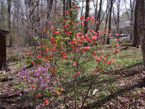 e0088260_22231650.jpg